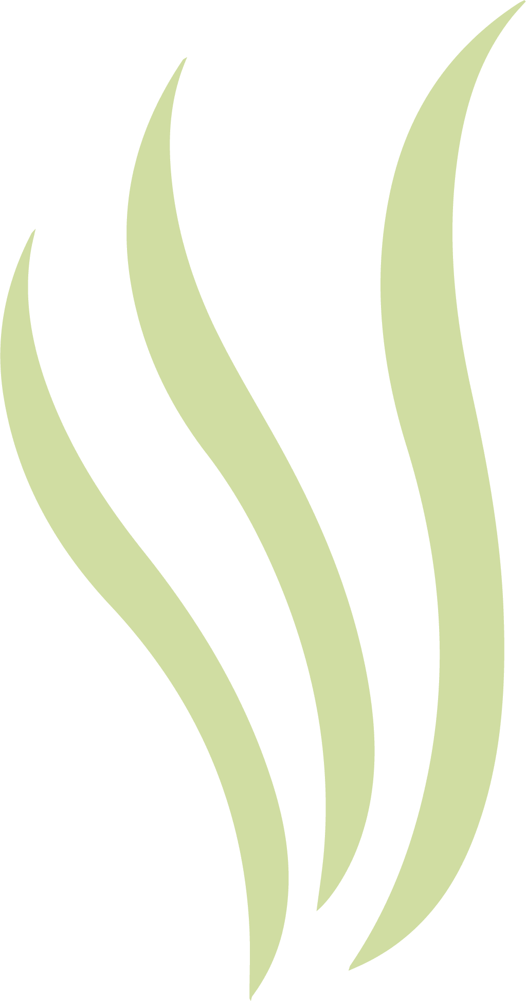 Logo superlooong vert