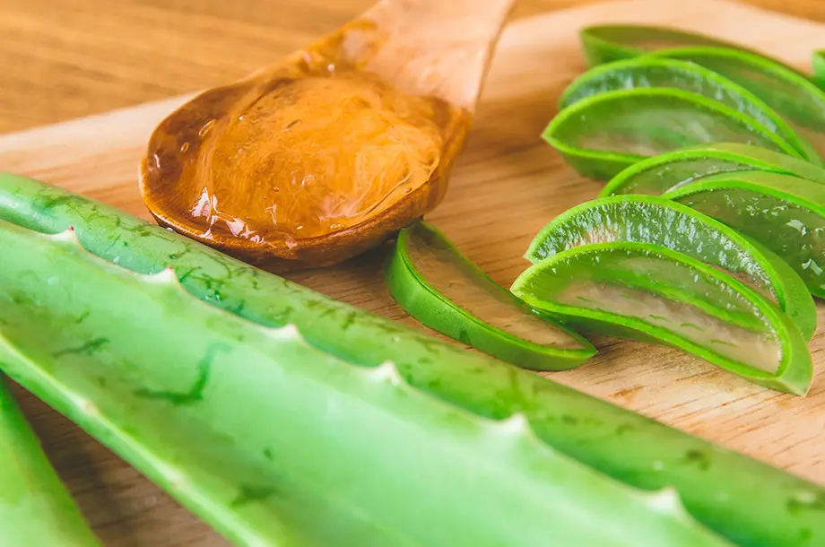 Photo d'Aloe Vera sur une table de cuisine