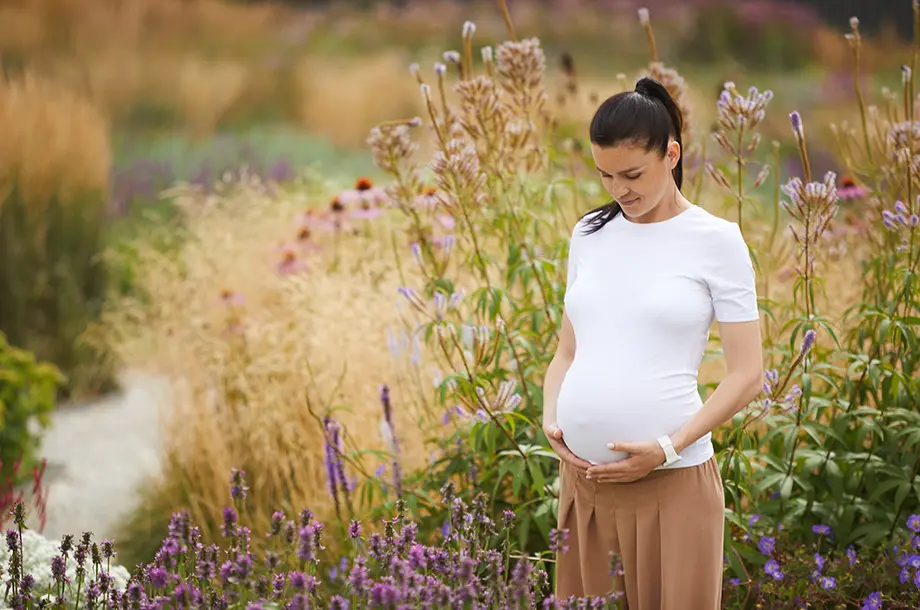 femme enceinte dans un champ